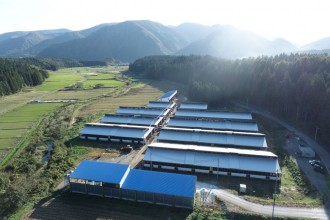 2020年11月末に稼働開始