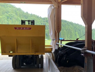給餌と牛の健康管理は重要なお仕事