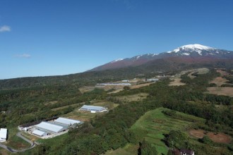 鳥海山を望む牧場。奥はグループの酪農牧場